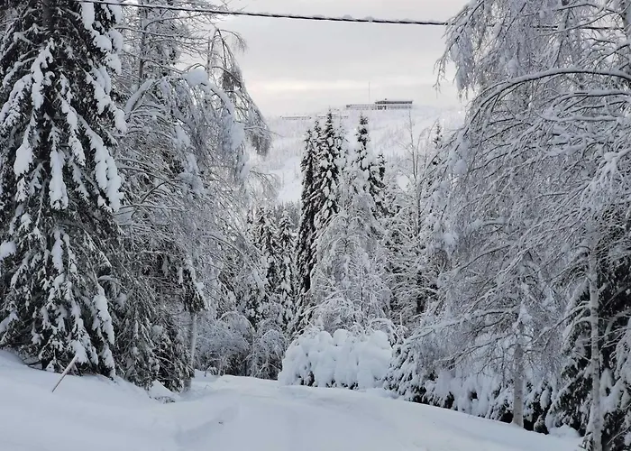 Loma-asunnot Luokkatupa 2